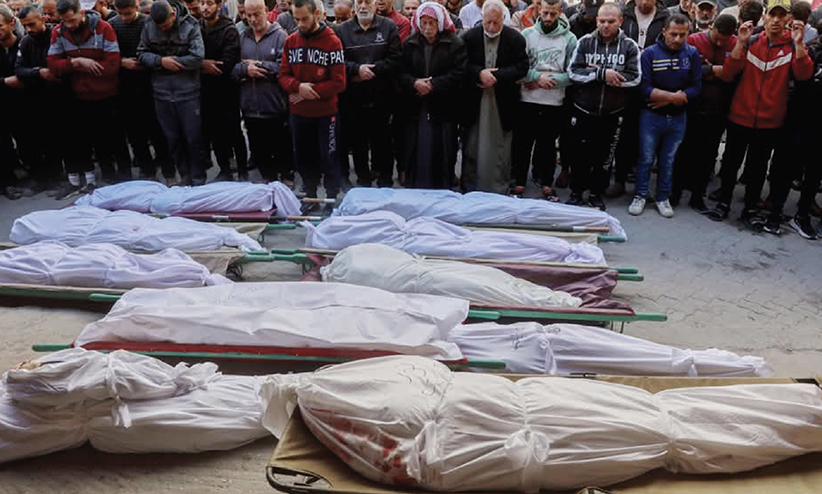 ചോരയും കണ്ണീരും വീണുറഞ്ഞ ഒലീവ് മരങ്ങൾ 